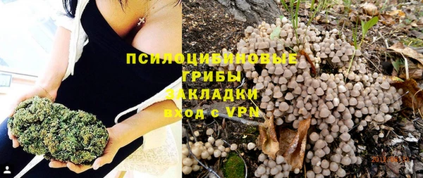 дживик Алексин