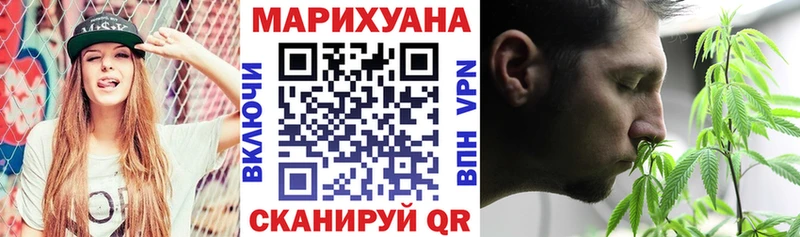 Купить закладки  Рудня  Бошки марихуана ГИДРОПОН 
